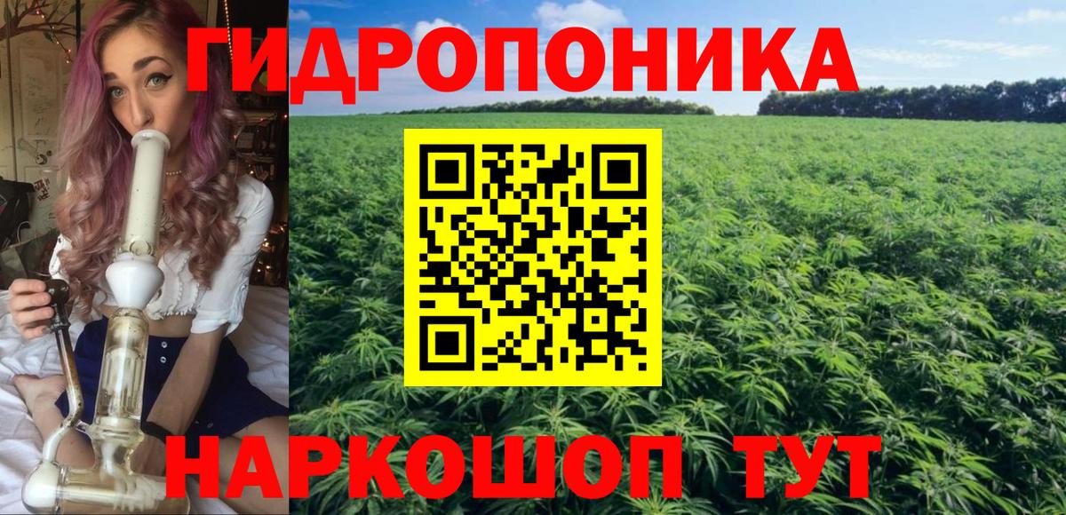 Бошки Шишки план Михайловка